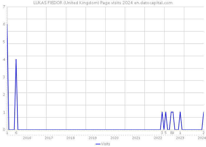 LUKAS FIEDOR (United Kingdom) Page visits 2024 