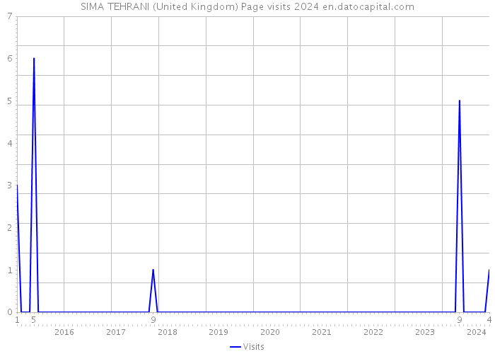 SIMA TEHRANI (United Kingdom) Page visits 2024 