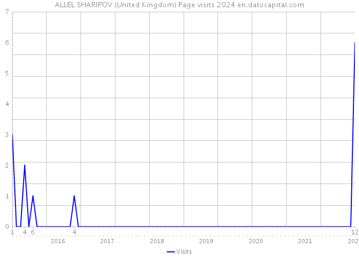 ALLEL SHARIPOV (United Kingdom) Page visits 2024 
