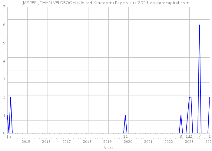 JASPER JOHAN VELDBOOM (United Kingdom) Page visits 2024 