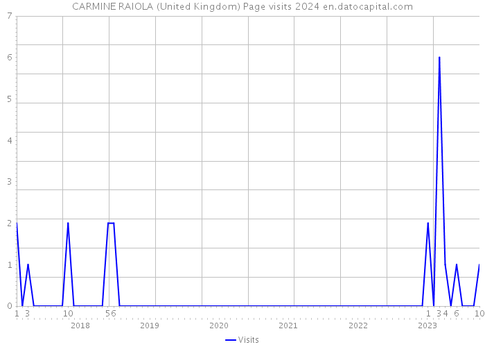 CARMINE RAIOLA (United Kingdom) Page visits 2024 