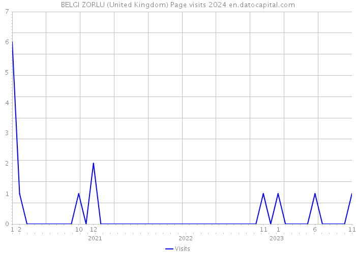BELGI ZORLU (United Kingdom) Page visits 2024 