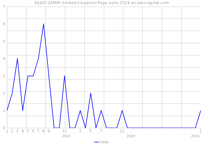 SAJAD ZAMIR (United Kingdom) Page visits 2024 