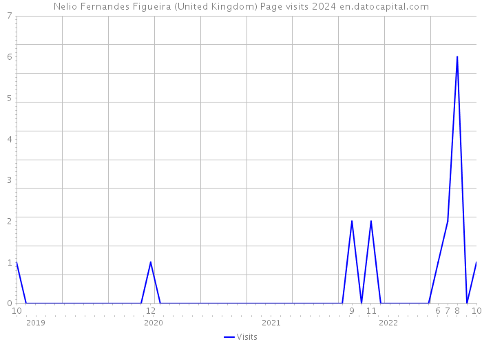 Nelio Fernandes Figueira (United Kingdom) Page visits 2024 