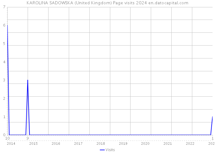 KAROLINA SADOWSKA (United Kingdom) Page visits 2024 
