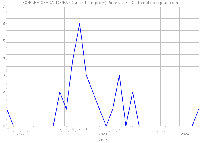 GORKEM SEVDA TOPBAS (United Kingdom) Page visits 2024 