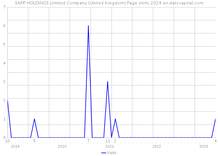 SAPP HOLDINGS Limited Company (United Kingdom) Page visits 2024 