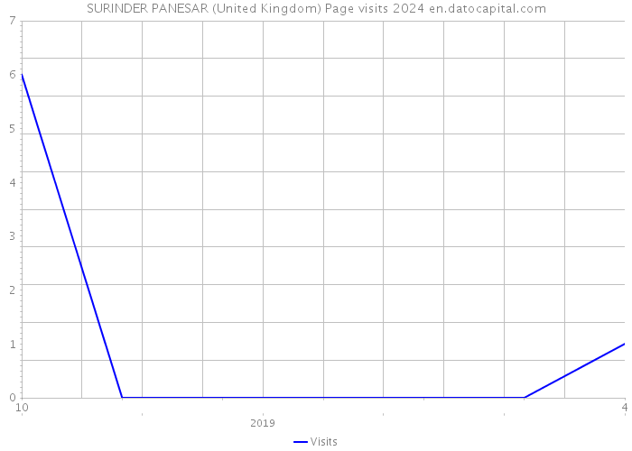 SURINDER PANESAR (United Kingdom) Page visits 2024 