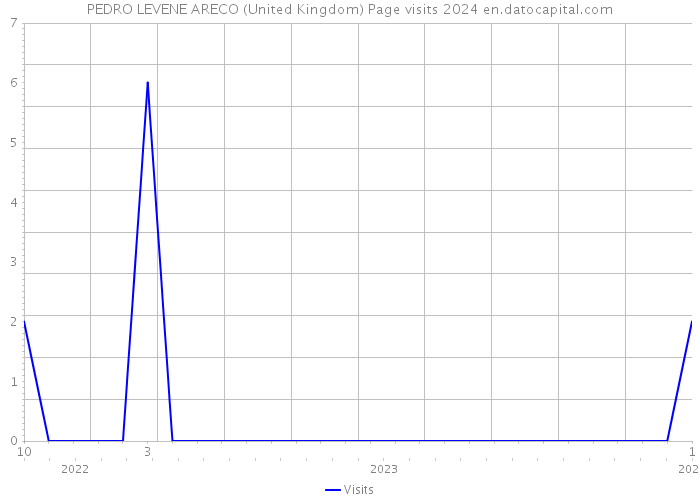 PEDRO LEVENE ARECO (United Kingdom) Page visits 2024 