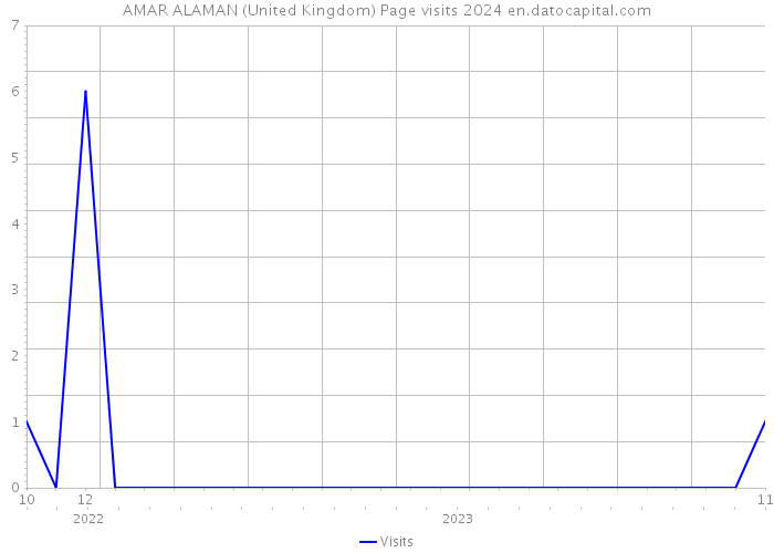 AMAR ALAMAN (United Kingdom) Page visits 2024 