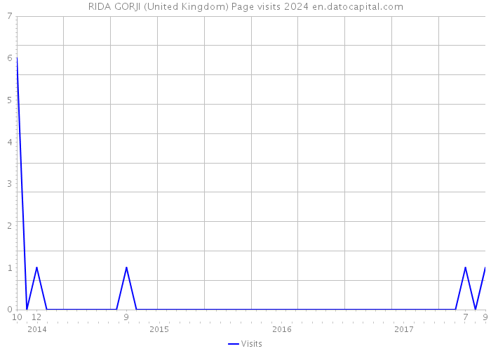 RIDA GORJI (United Kingdom) Page visits 2024 