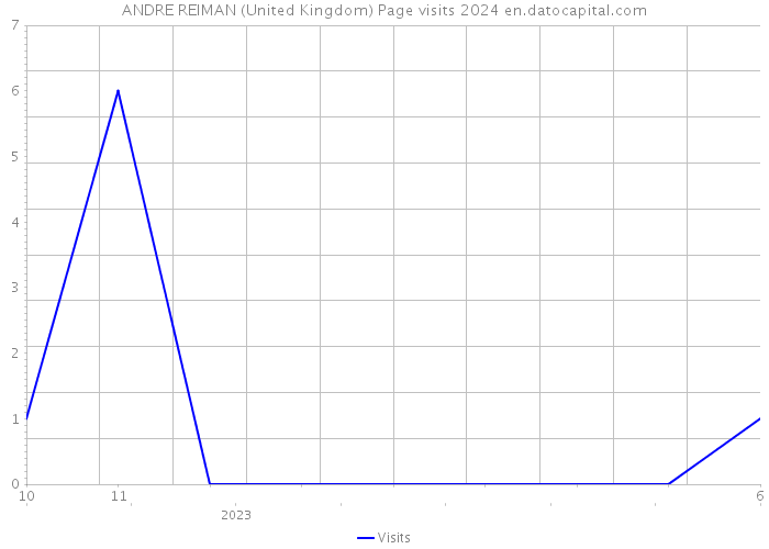 ANDRE REIMAN (United Kingdom) Page visits 2024 