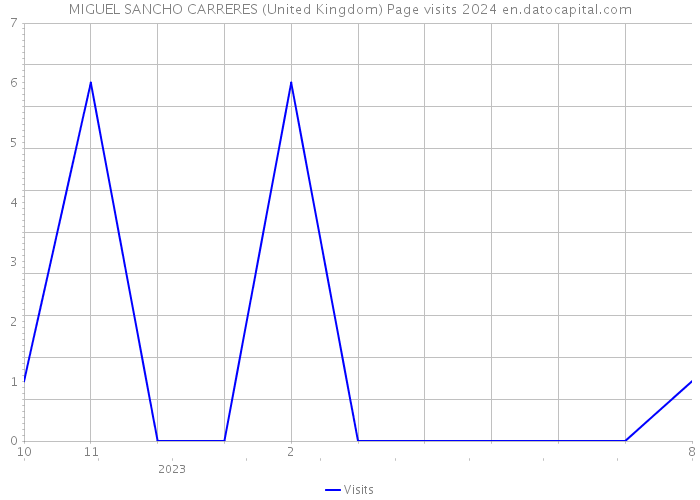 MIGUEL SANCHO CARRERES (United Kingdom) Page visits 2024 