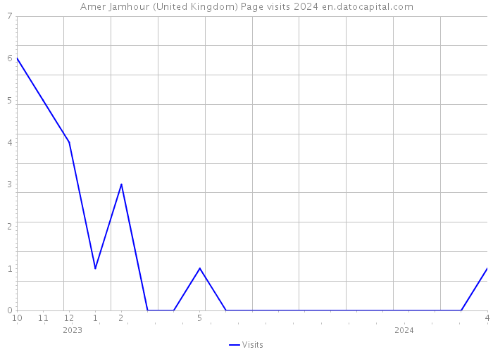 Amer Jamhour (United Kingdom) Page visits 2024 