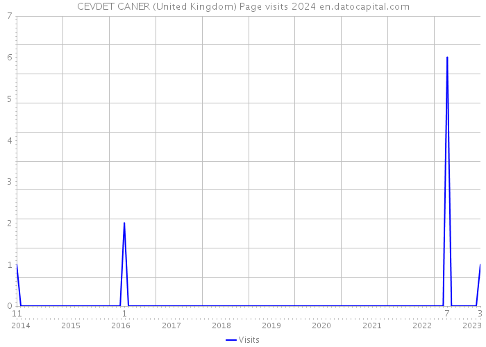 CEVDET CANER (United Kingdom) Page visits 2024 