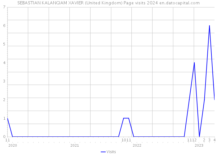 SEBASTIAN KALANGIAM XAVIER (United Kingdom) Page visits 2024 