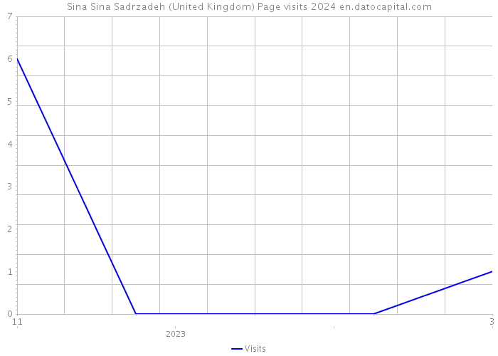 Sina Sina Sadrzadeh (United Kingdom) Page visits 2024 