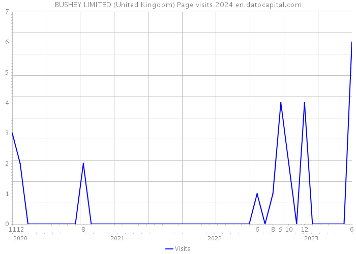 BUSHEY LIMITED (United Kingdom) Page visits 2024 