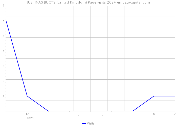 JUSTINAS BUCYS (United Kingdom) Page visits 2024 