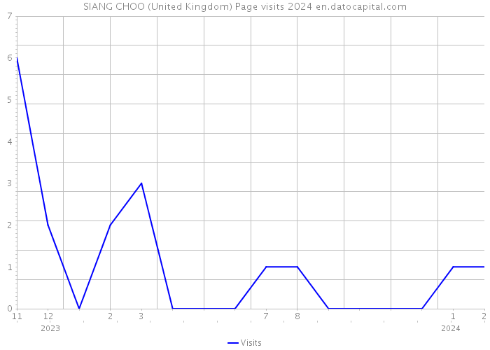 SIANG CHOO (United Kingdom) Page visits 2024 
