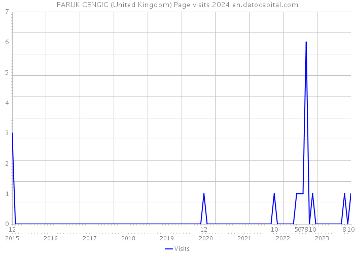 FARUK CENGIC (United Kingdom) Page visits 2024 