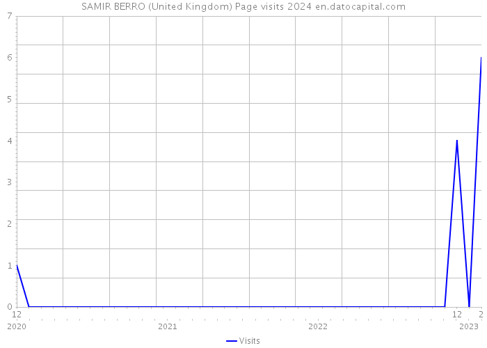 SAMIR BERRO (United Kingdom) Page visits 2024 