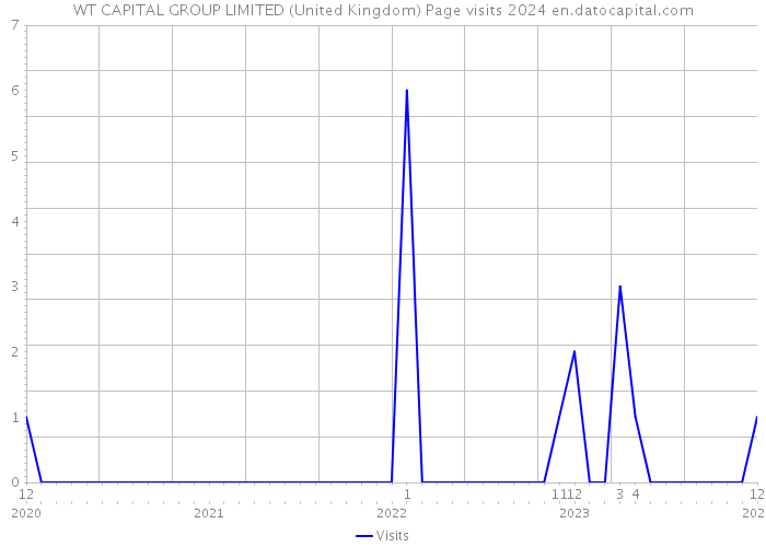 WT CAPITAL GROUP LIMITED (United Kingdom) Page visits 2024 