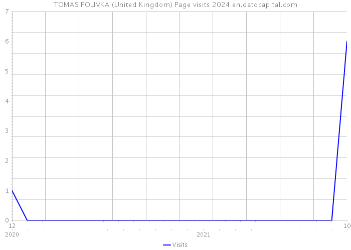 TOMAS POLIVKA (United Kingdom) Page visits 2024 