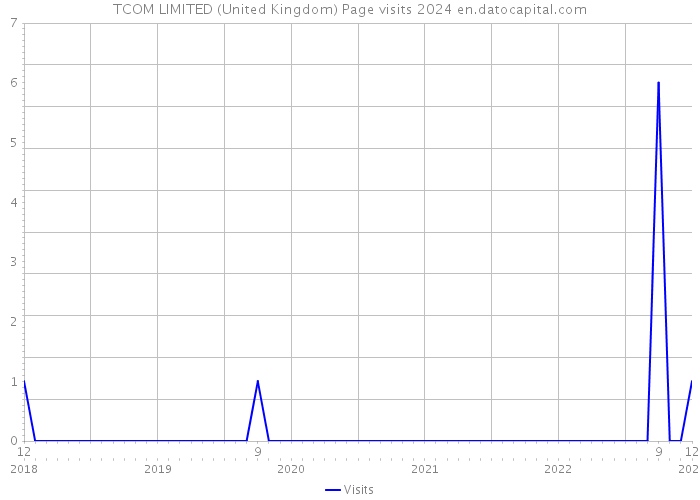TCOM LIMITED (United Kingdom) Page visits 2024 