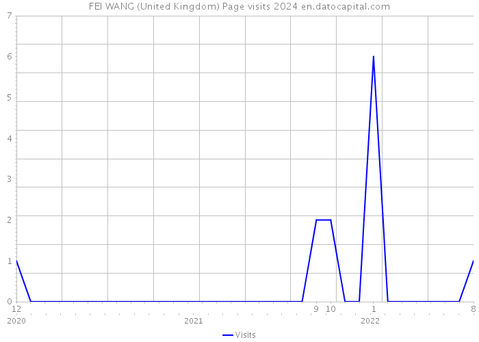 FEI WANG (United Kingdom) Page visits 2024 
