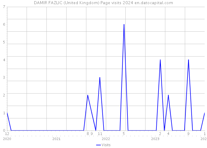 DAMIR FAZLIC (United Kingdom) Page visits 2024 