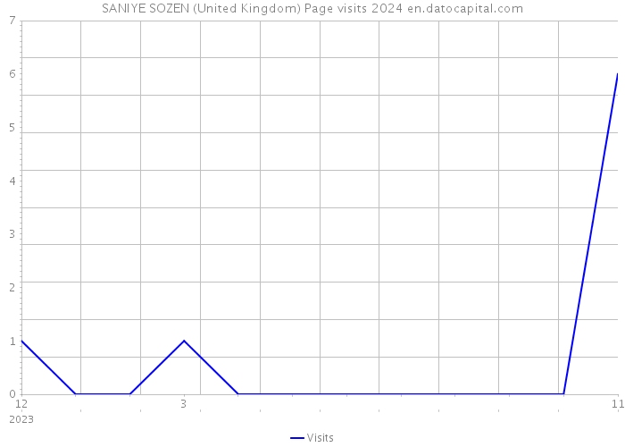 SANIYE SOZEN (United Kingdom) Page visits 2024 