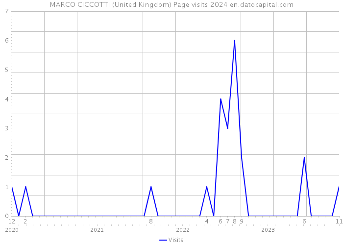 MARCO CICCOTTI (United Kingdom) Page visits 2024 