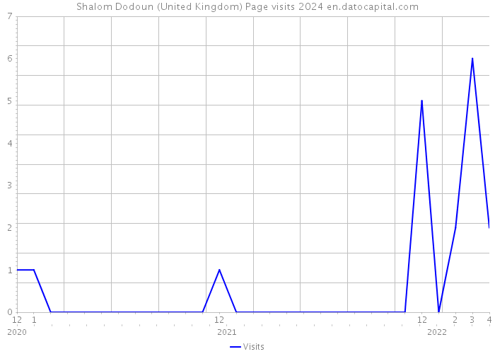 Shalom Dodoun (United Kingdom) Page visits 2024 