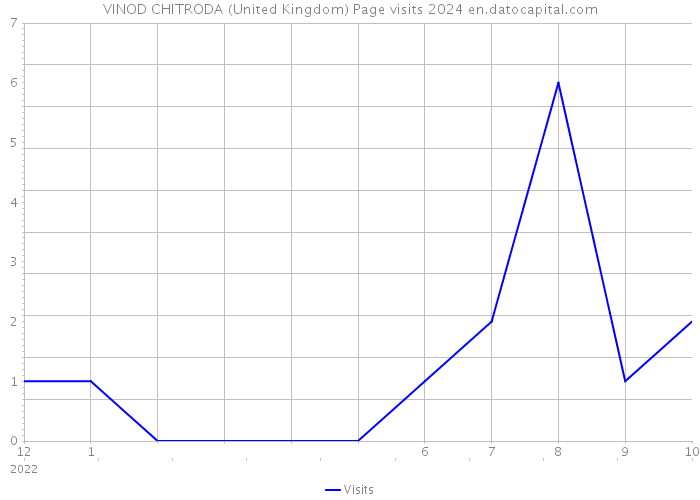 VINOD CHITRODA (United Kingdom) Page visits 2024 