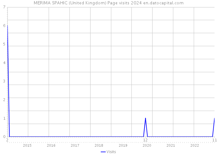 MERIMA SPAHIC (United Kingdom) Page visits 2024 