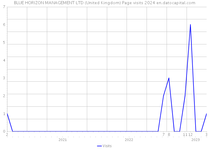 BLUE HORIZON MANAGEMENT LTD (United Kingdom) Page visits 2024 