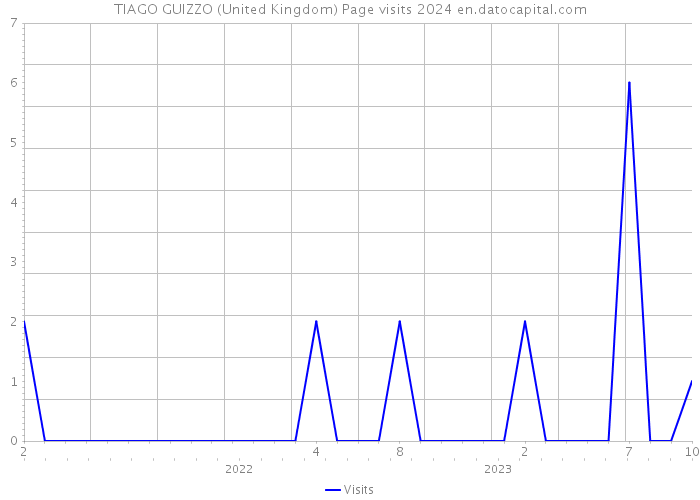 TIAGO GUIZZO (United Kingdom) Page visits 2024 