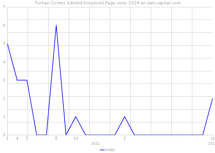 Turhan Comez (United Kingdom) Page visits 2024 