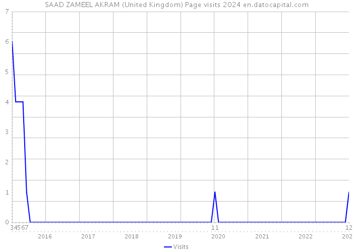 SAAD ZAMEEL AKRAM (United Kingdom) Page visits 2024 