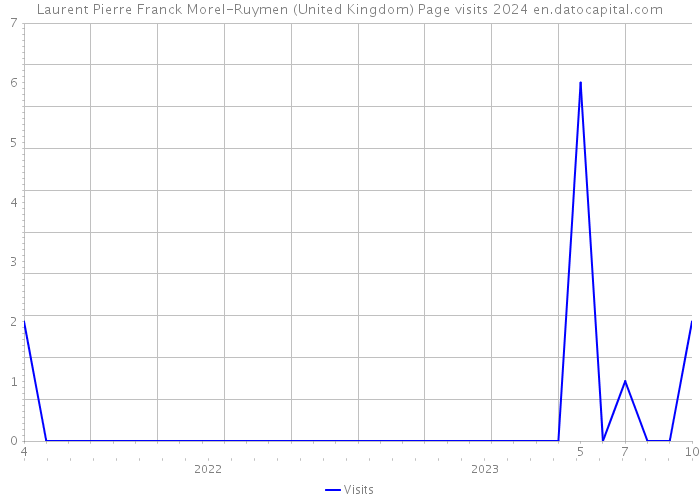 Laurent Pierre Franck Morel-Ruymen (United Kingdom) Page visits 2024 