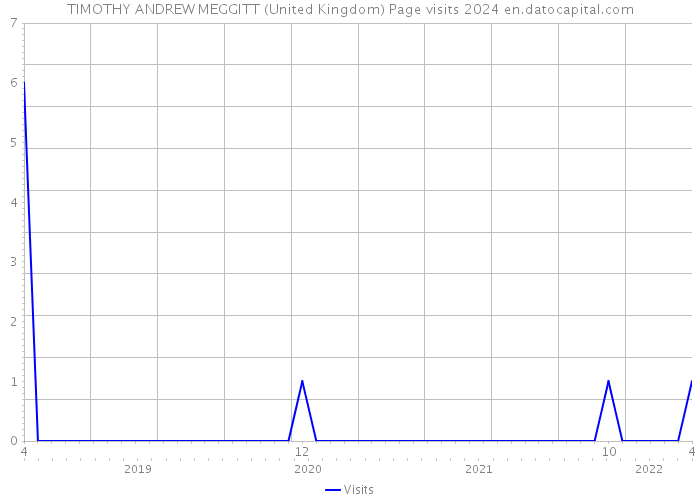 TIMOTHY ANDREW MEGGITT (United Kingdom) Page visits 2024 