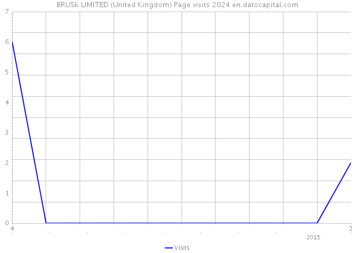 BRUSK LIMITED (United Kingdom) Page visits 2024 