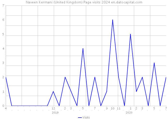 Naveen Kermani (United Kingdom) Page visits 2024 