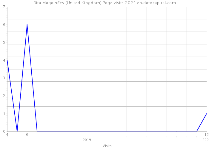 Rita Magalhães (United Kingdom) Page visits 2024 