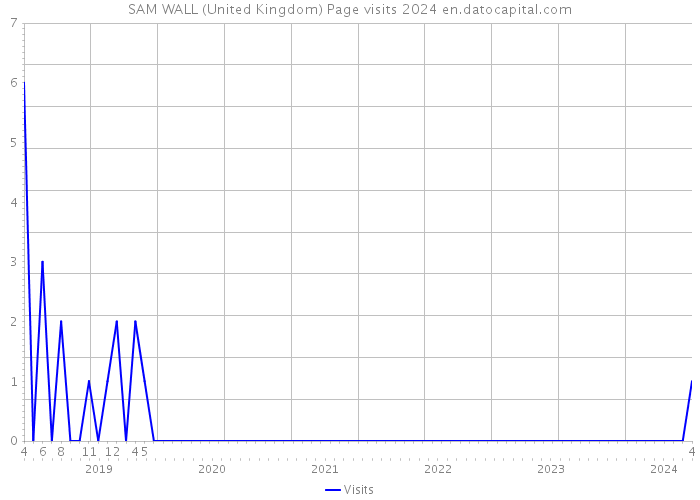 SAM WALL (United Kingdom) Page visits 2024 