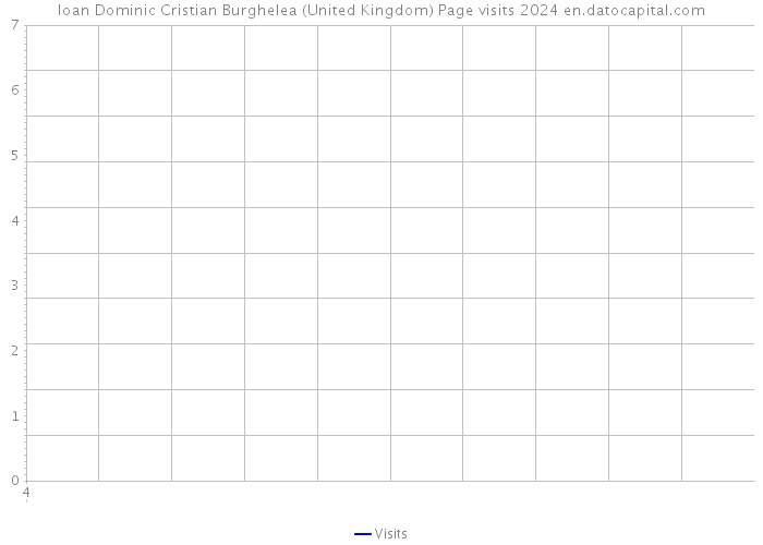 Ioan Dominic Cristian Burghelea (United Kingdom) Page visits 2024 