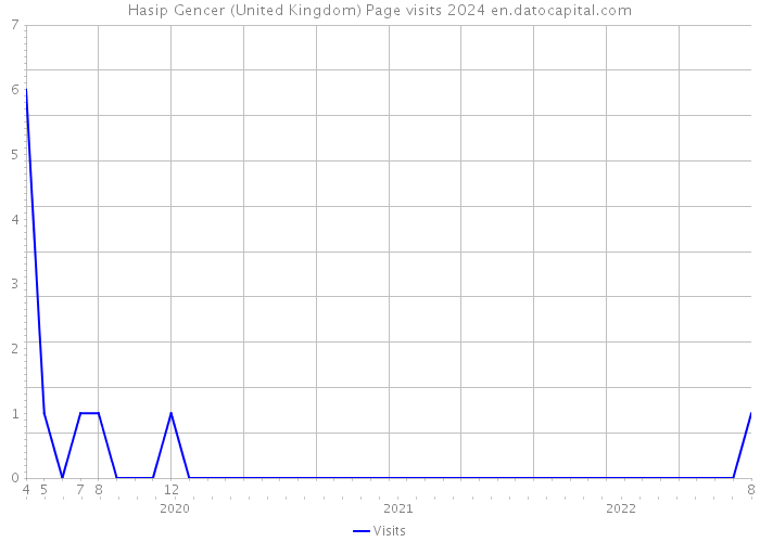 Hasip Gencer (United Kingdom) Page visits 2024 