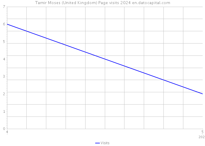 Tamir Moses (United Kingdom) Page visits 2024 