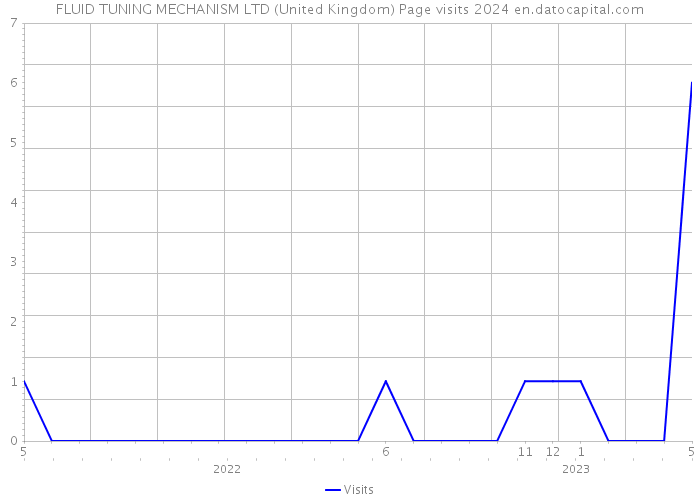 FLUID TUNING MECHANISM LTD (United Kingdom) Page visits 2024 